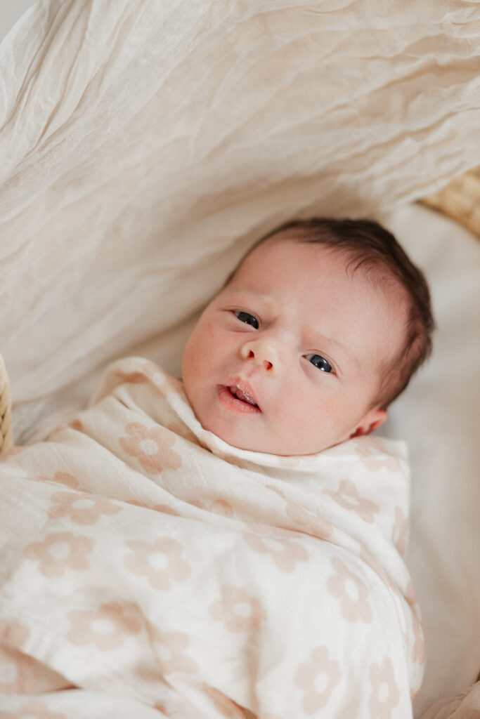 lifestyle newborn session