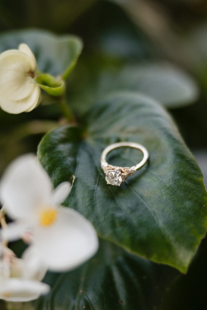 closeup of the engagement ring 