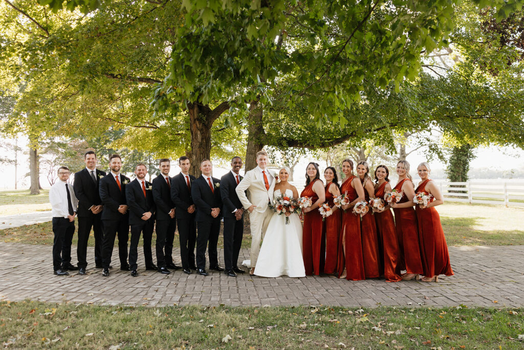 picture of the bride and groom with their bridesmaids and groomsmen 